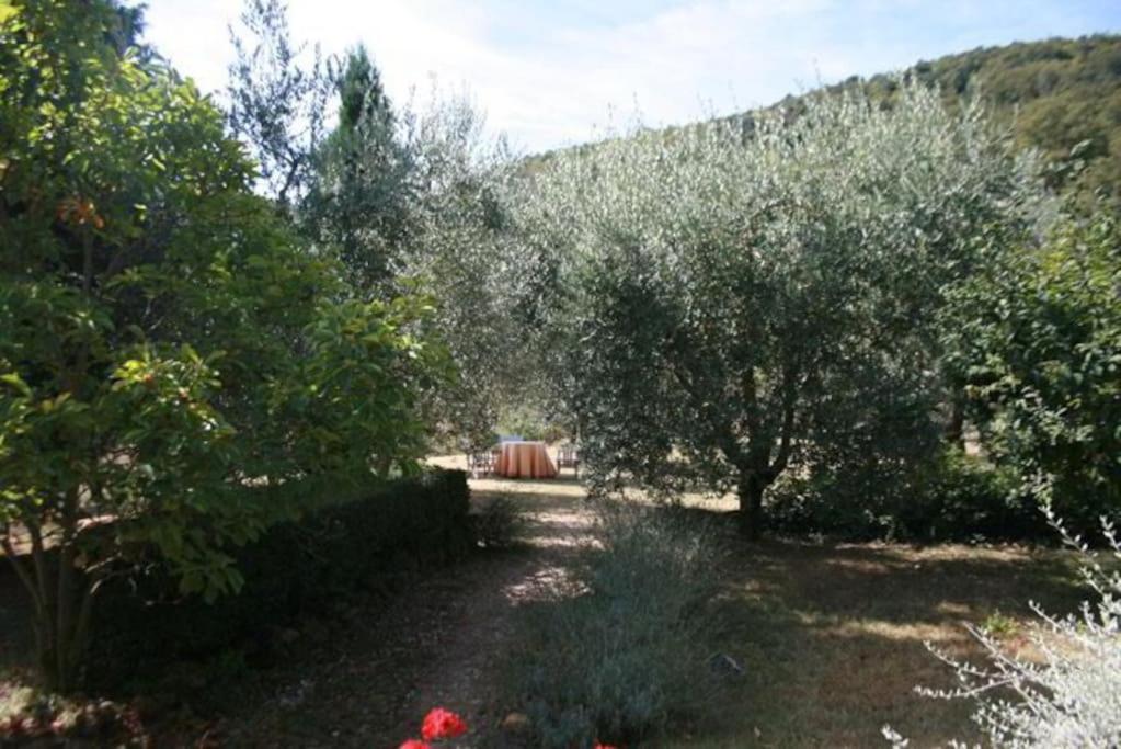 Podere Gli Oppi Toscana Villa Petroio Exterior photo